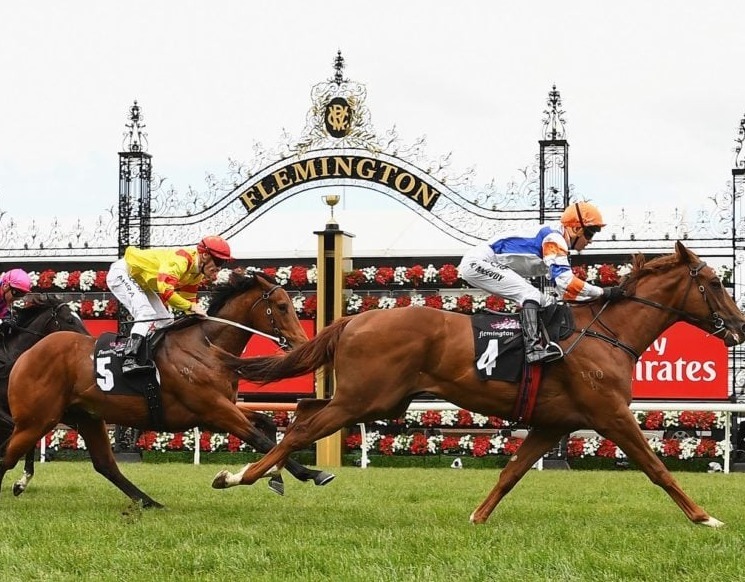 The Melbourne Cup Race